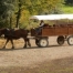 Descobreix la fageda d'en Jord