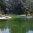 Bassa natural
