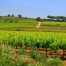 Cabanyes, Les