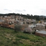 fot46