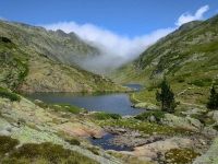 Entorn de la casa, estany del Port