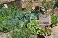 Visiteu el nostre hort ecolgic.