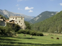 Cal Pallerola s una antiga casa de pags restaurada en dos allotjaments rurals al llogarret de Montergull, a Lavansa. Estem al costat del Parc Natural del Cad -Moixer, molt aprop de les pistes d'esqu nrdic de Tuixent-Lavansa. Els dos allotjaments de 5 i 8 places estan totalment equipats.