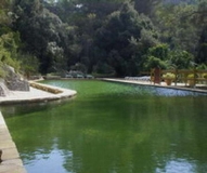 Bassa natural