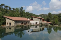 les 2 casas de turisme rural d'en moli d'en Sala , amb la bassa que serveix de piscina l'estiu