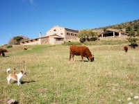 als voltants de la casa