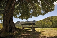 El banc de l'arrugat.