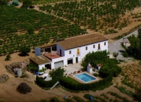 Casa rural a 50 km. de Barcelona i a 30 km. de la costa envoltada de vinyes i molta tranquilitat
