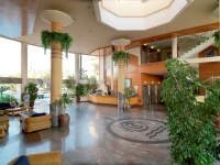 Hall - Recepcin Hotel Dorada Palace