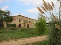 Fa�ana de la Pahissa des de l'hort de l'avi Ramon.