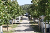 Zona de caravanes, oferim tarifes molt econ�miques per deixar la caravana tot l'any