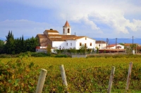 Santa Maria de Bellver. La Tardor entre vinyes.