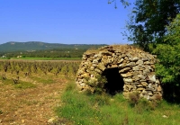 Barraca de pedra seca i vinya.