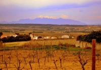 Santa fe del Penedes i Montserrat a l'horitz.