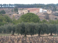 Can Cruset de Greansola. Masia de Torrelles de Foix, terra de vinya i oliveres.