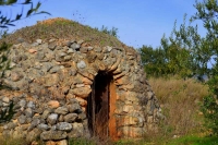 Barraca de vinya a les Planes.