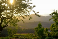 Llum de capvespre primaveral.