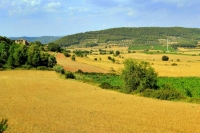 Vista de la zona rural de la Llacuna.