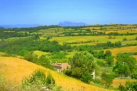 Camps des de la Panadella, Montserrat al fons.