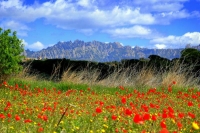 Vista primaveral de Montserrat des de Piera.