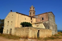 Santa Maria de l'Alb nou, a prop de Santes Creus.