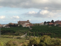 Vistes de la Selva del Camp desde el Calvari