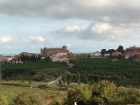 Vistes de la Selva del Camp desde el Calvari