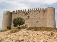 El Castell de Montgr, contruit entre el 1294 i 1301