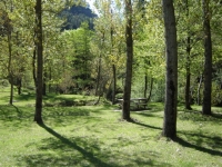 Area Riugreixer Parc Natural Cadi Moixero