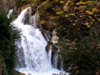 Naixement del Riu Llobregat, les Fonts del Llobregat