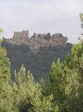 Al fons el Castell