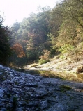 Riera de Castellcir
