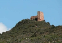 Runes del castell de Montmany