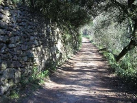 Mur de pedra seca al tram baix de la Riereta