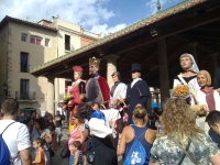 Trobada de gegants Festa Major 2011