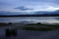 Paisatge dels aiguamolls de l'empord al capvespre