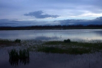 Paisatge dels aiguamolls de l'empord al capvespre