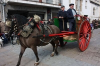 Festa De Sant Antoni a La Roca