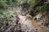 El Torrent de Colobrers