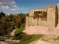 Castell cartoixa de Vallparads