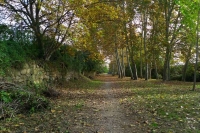 Camins de la Ribera de Solsona