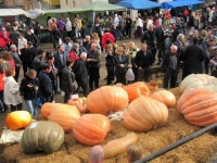 3er concurs d'ous d'euga de la Vall de Lord 2011