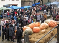 3er concurs d'ous d'euga de la Vall de Lord 2011