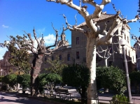 La Universitat: Felip V va ordenar construir una gran universitat central a Cervera.