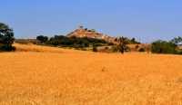 Vista del poble, una bella imatge.