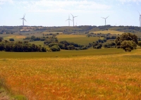 Camps i molins de vent de Talavera, LLeida.