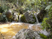 Lo Barranc de la Caldera.