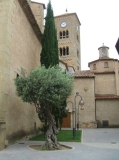 Campanar de Taradell