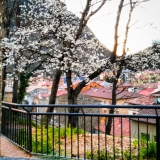 Ribes de Freser, Passeig Santa Caterina, Primavera