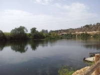 El Riu Ebre al seu pas per Flix